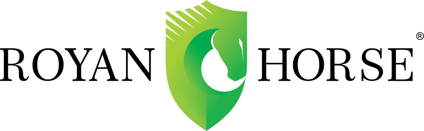 رایان هورس